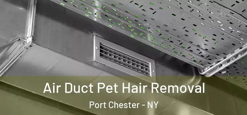  Air Duct Pet Hair Removal Port Chester - NY