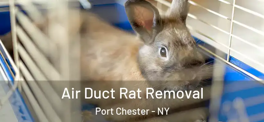 Air Duct Rat Removal Port Chester - NY