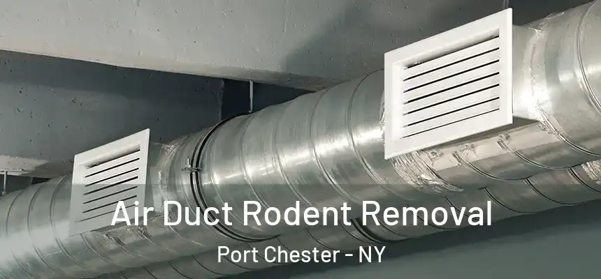  Air Duct Rodent Removal Port Chester - NY