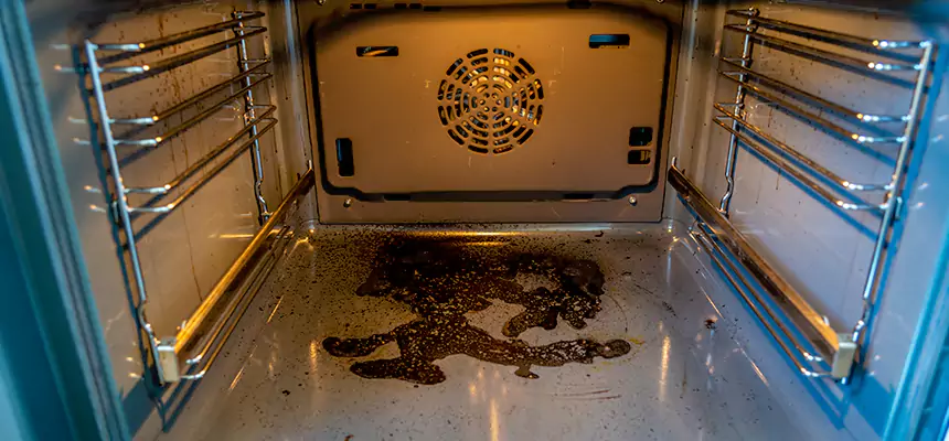 Our Dryer Vent Mold Cleaning Services in Port Chester, NY