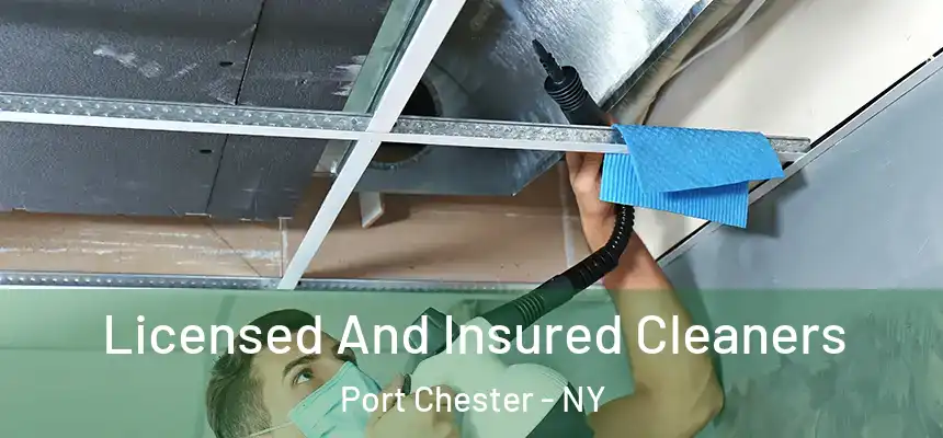  Licensed And Insured Cleaners Port Chester - NY