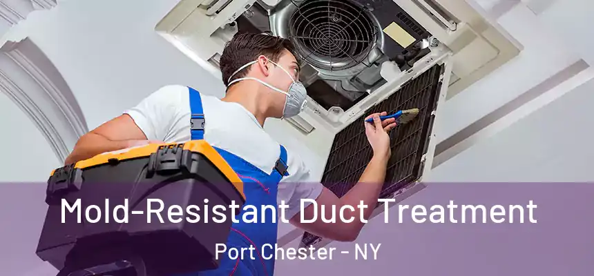  Mold-Resistant Duct Treatment Port Chester - NY