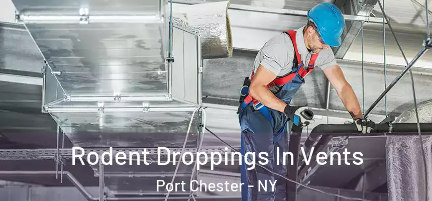  Rodent Droppings In Vents Port Chester - NY