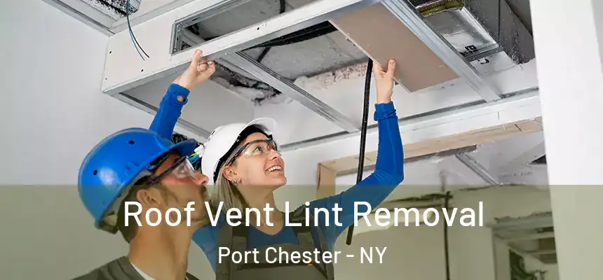  Roof Vent Lint Removal Port Chester - NY