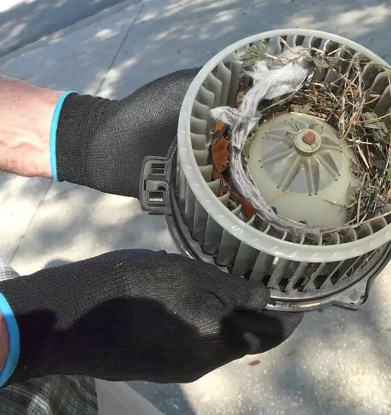 About Air Duct Rat Removal in Port Chester, NY