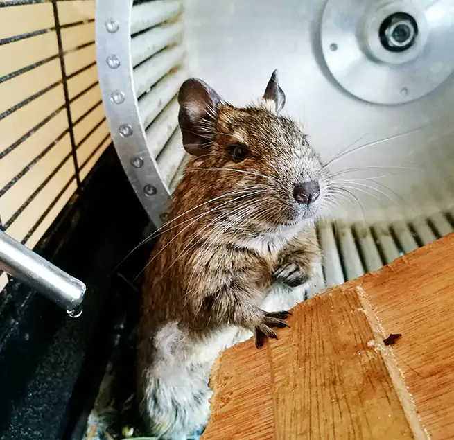 Why Homeowners & Businesses Trust Us Port Chester, NY