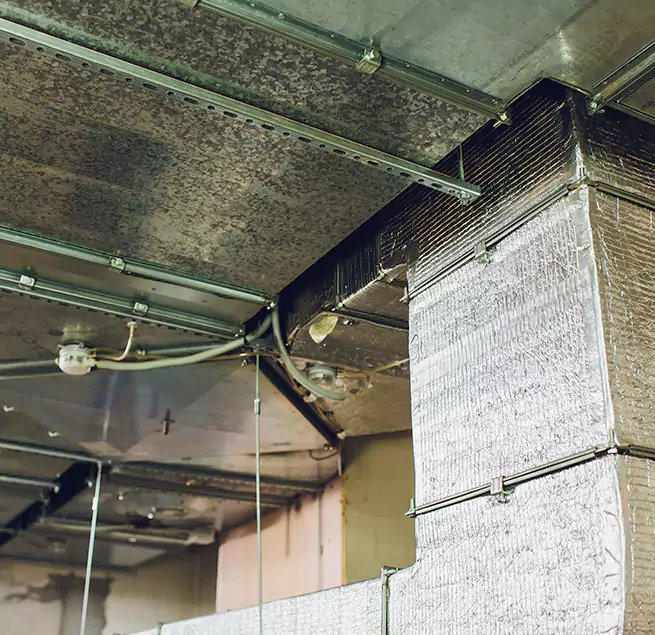 Why Homeowners & Businesses Trust Us in Port Chester, NY?